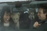 Landrover Eskimo Ride